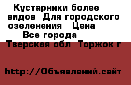 Кустарники более 100 видов. Для городского озеленения › Цена ­ 70 - Все города  »    . Тверская обл.,Торжок г.